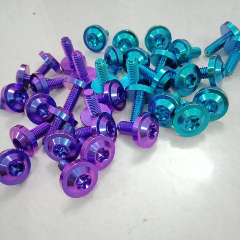 Ốc titan GR5 6li 1 phân " gắn Cater , lòng đĩa " đầu dù dầy