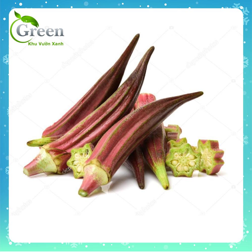 Hạt Giống Đậu Bắp Đỏ Cao Sản Sinh Trưởng Mạnh, Đồng Đều Gói 5 Gam (khoảng 100 hạt)