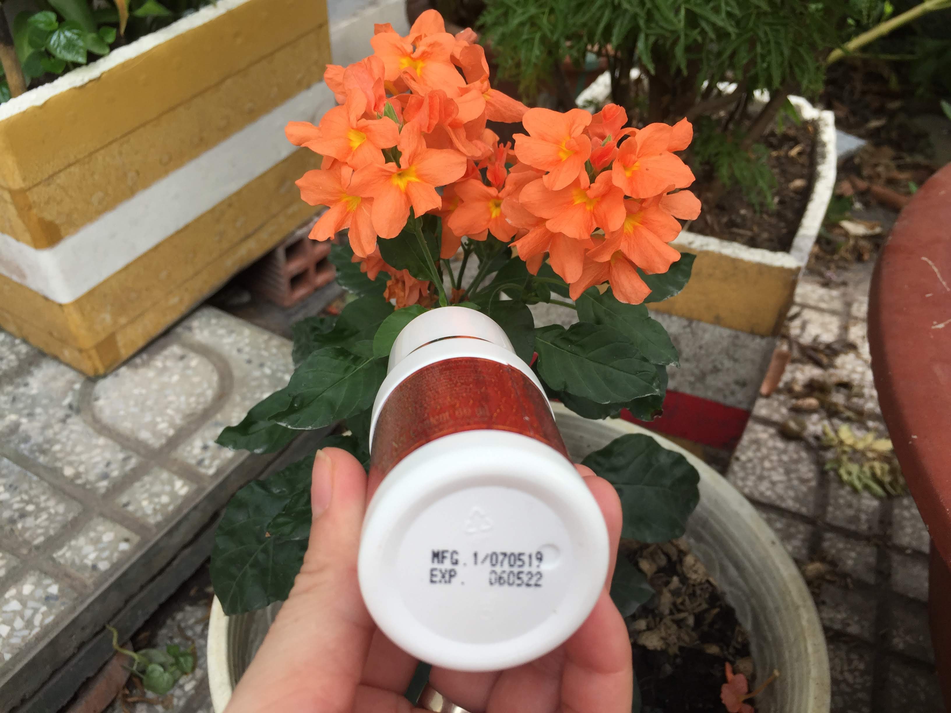 Combo 2 chai lăn nách Thái Lan Top Country 60 ml