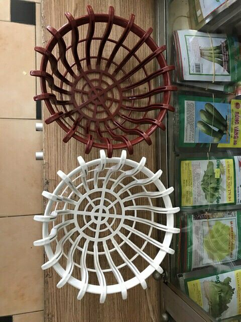 combo 5 chậu giả gỗ trồng lan phi 25 - chậu lan sen
