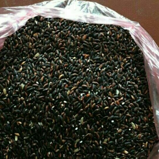 2kg gạo nếp cẩm quê