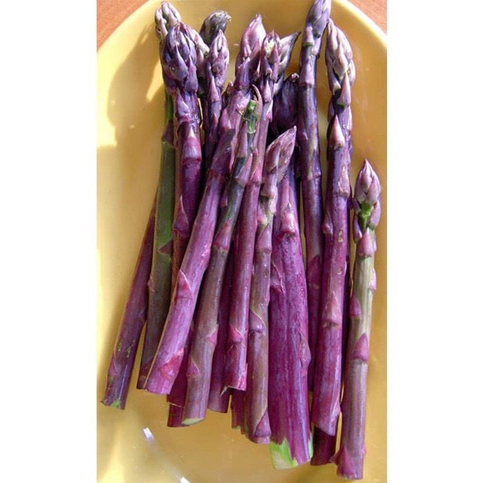 RD Măng tây tím (0.2g)