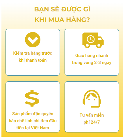 Dầu gội cao phủ bạc linh chi đen