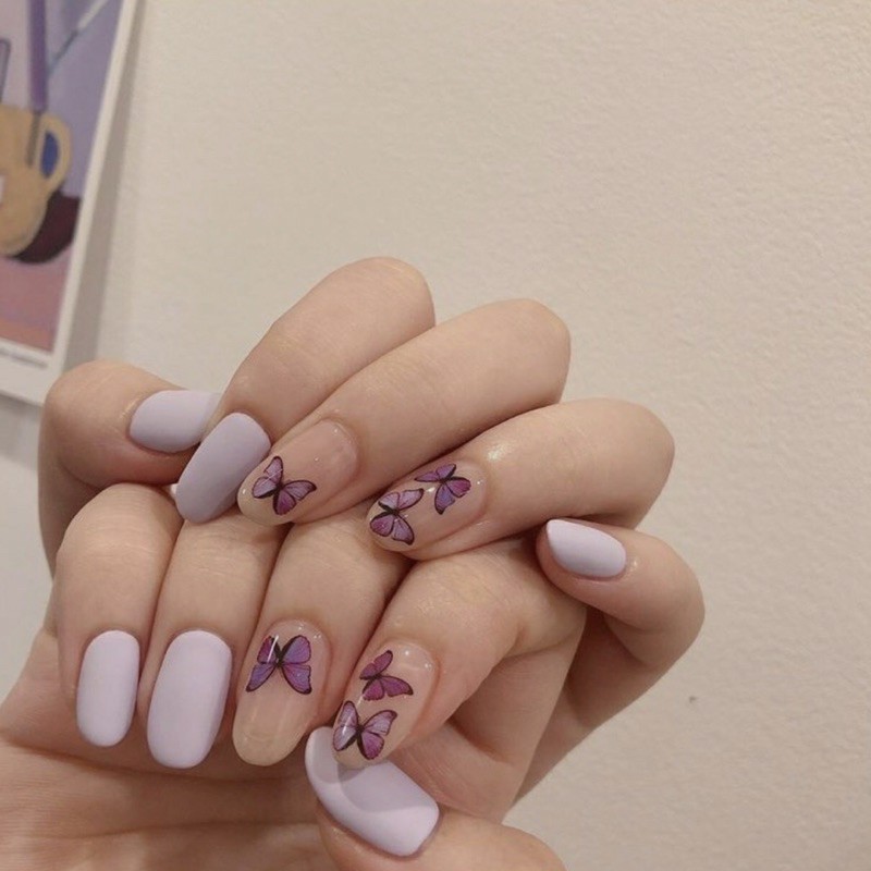 Nailbox bướm cute 12 ngón Chubby  - A69
