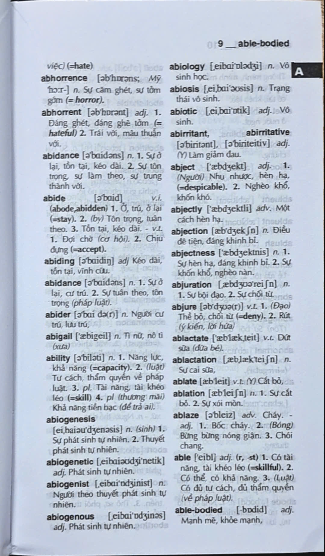 English-Vietnamese Dictionary 340,000 Words and Definitions (Paperback)