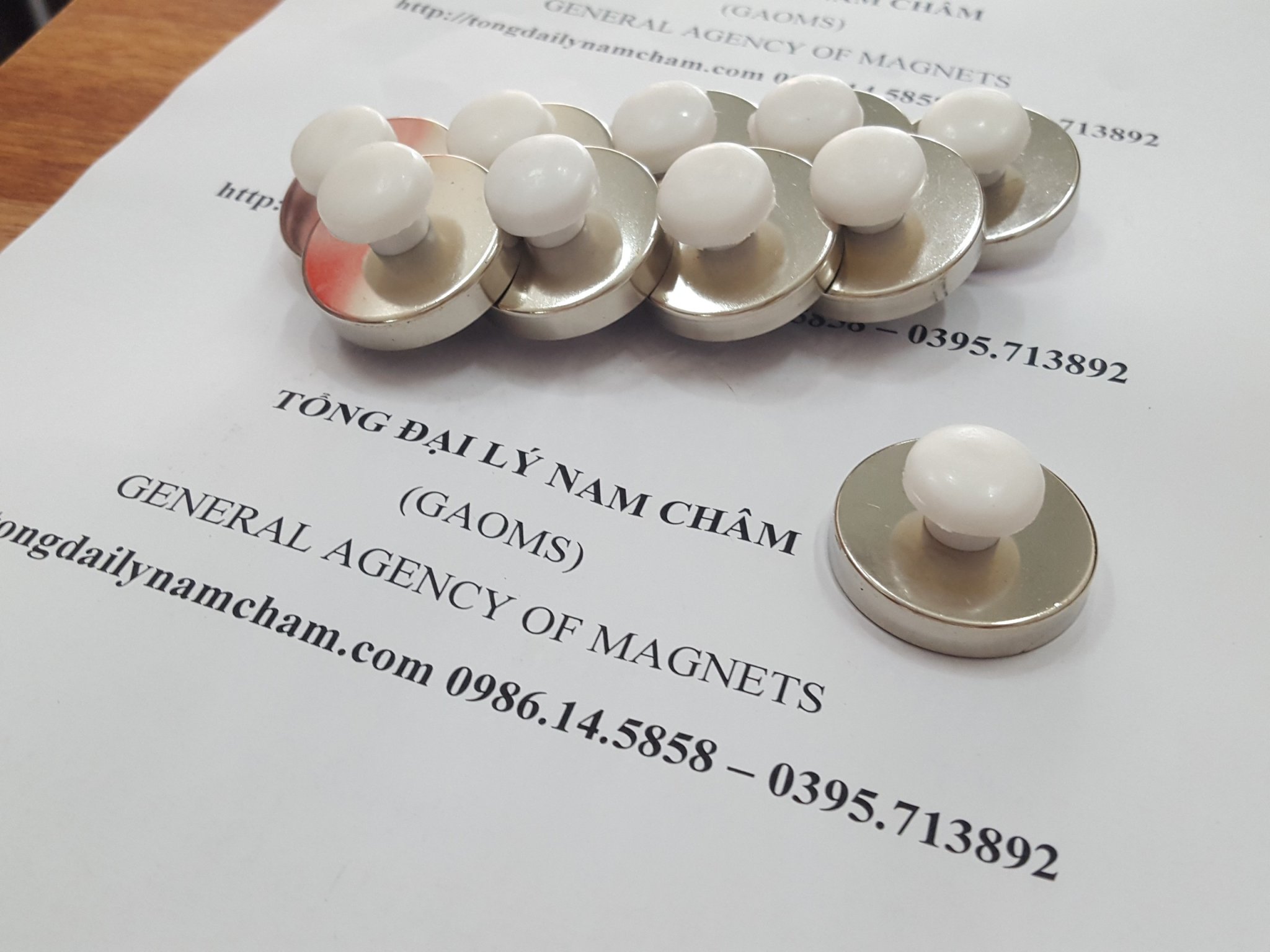 Nam châm đính bảng D32, có núm trắng- 10 cái