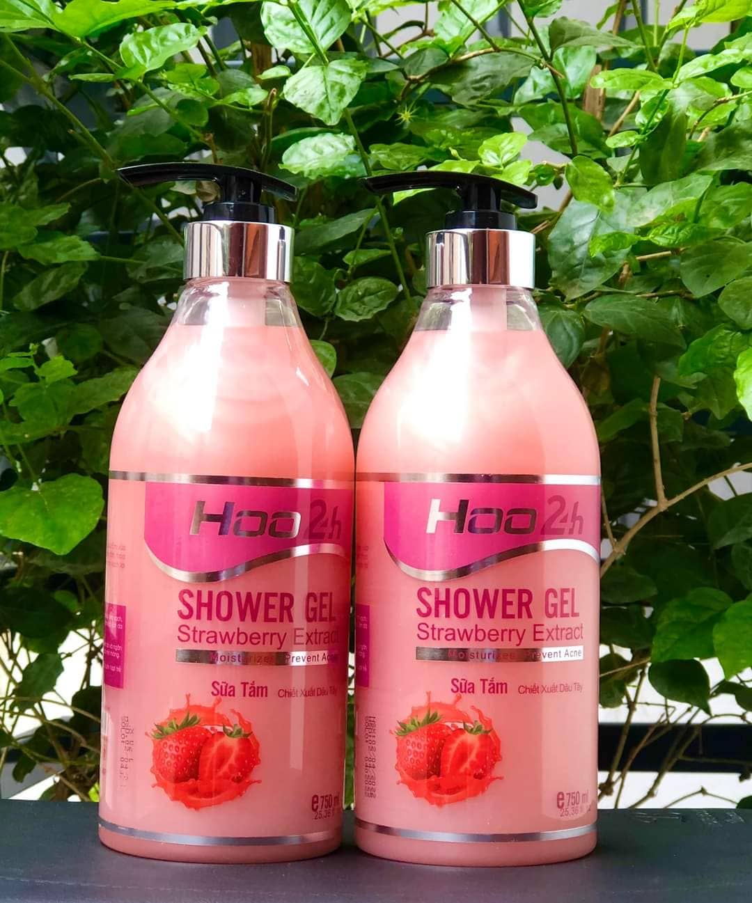 Sữa tắm shower gel hoo24h
