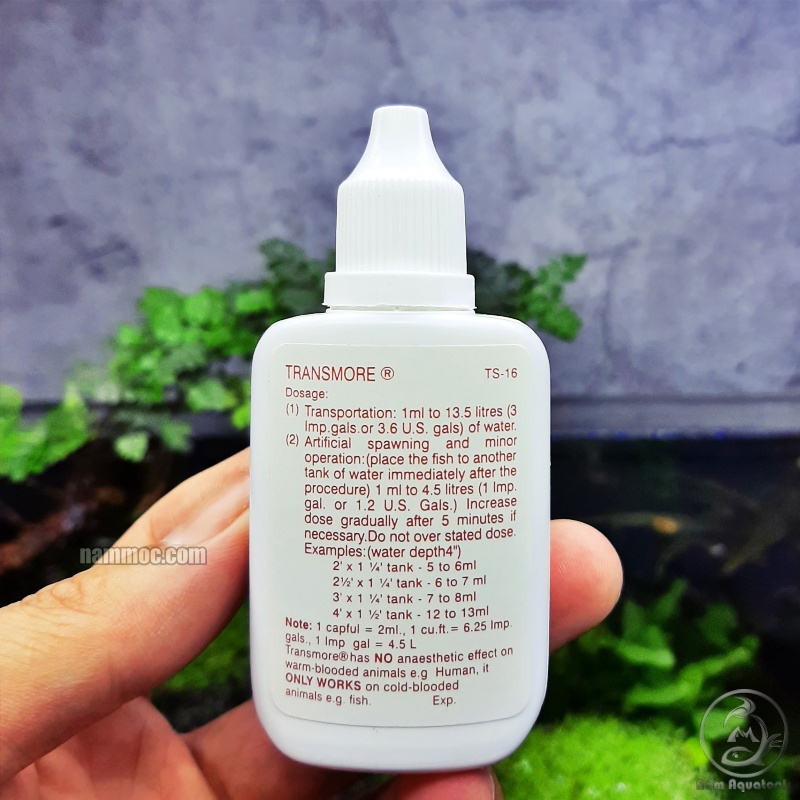 Dung Dịch Gây Mê Cho Cá Rồng NIKA