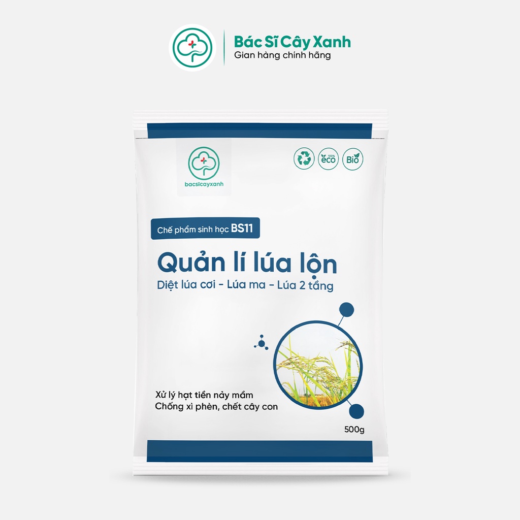 Chế Phẩm Quản Lý Lúa Lộn Lúa Cỏ Lúa Ma BS11 500g - Chống Xì Phèn Không Ảnh Hưởng Lúa Sạ - Bác Sĩ Cây Xanh