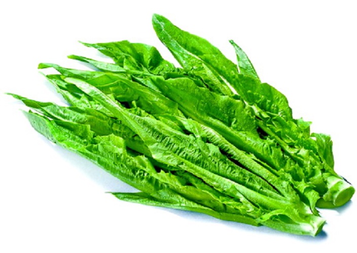 [FreeShip] Hạt Giống Rau Diếp Thơm - Gói 5gr