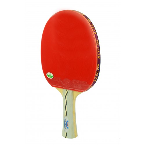 Vợt bóng bàn 729-2010