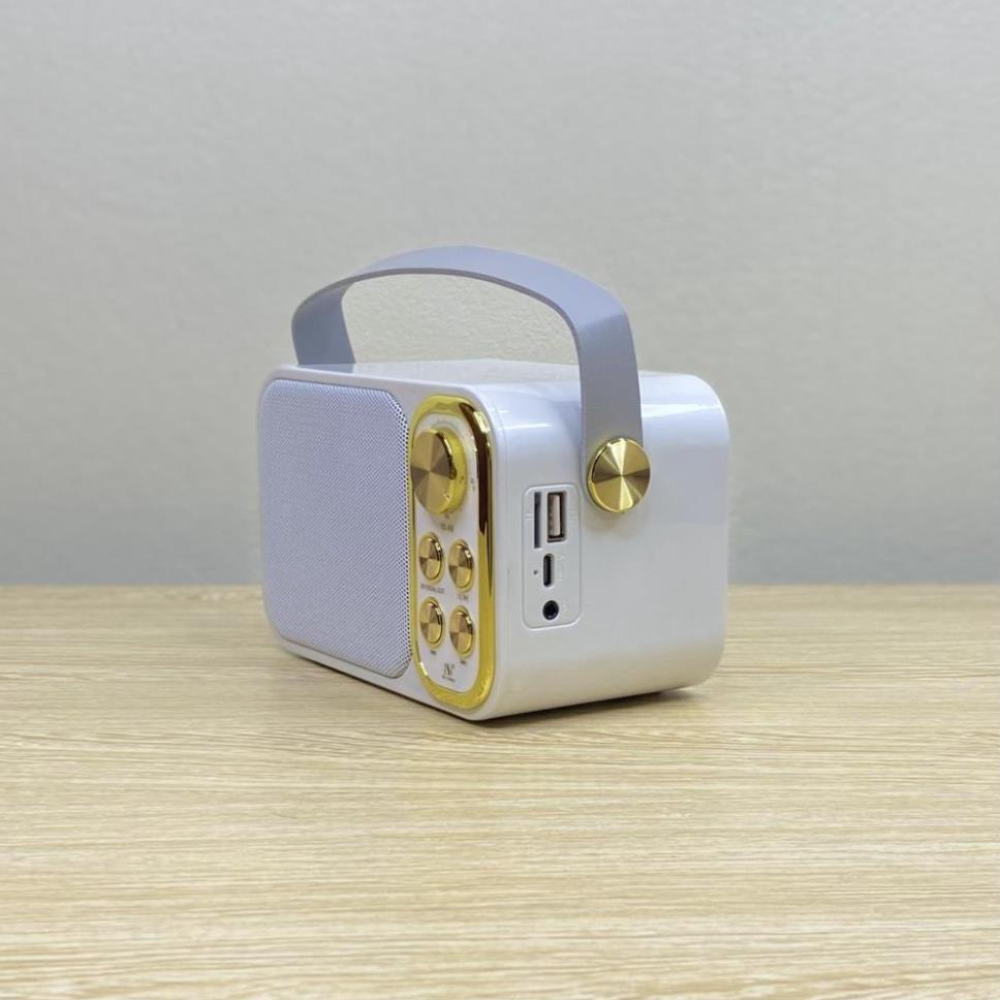 Bluetooth speaker with mic ys103 ys105 wireless microphone with mic body function keys