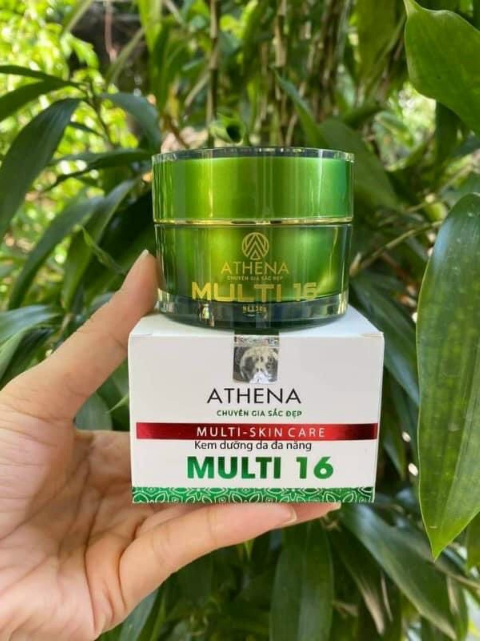 Kem Multi 16 hũ to 30g (tặng 2 gói tăm bông cao cấp)