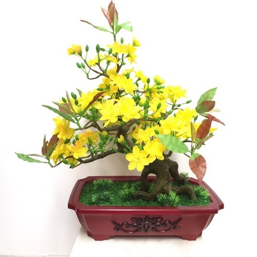 Phân trùn quế cho hoa và cây cảnh túi 2kg
