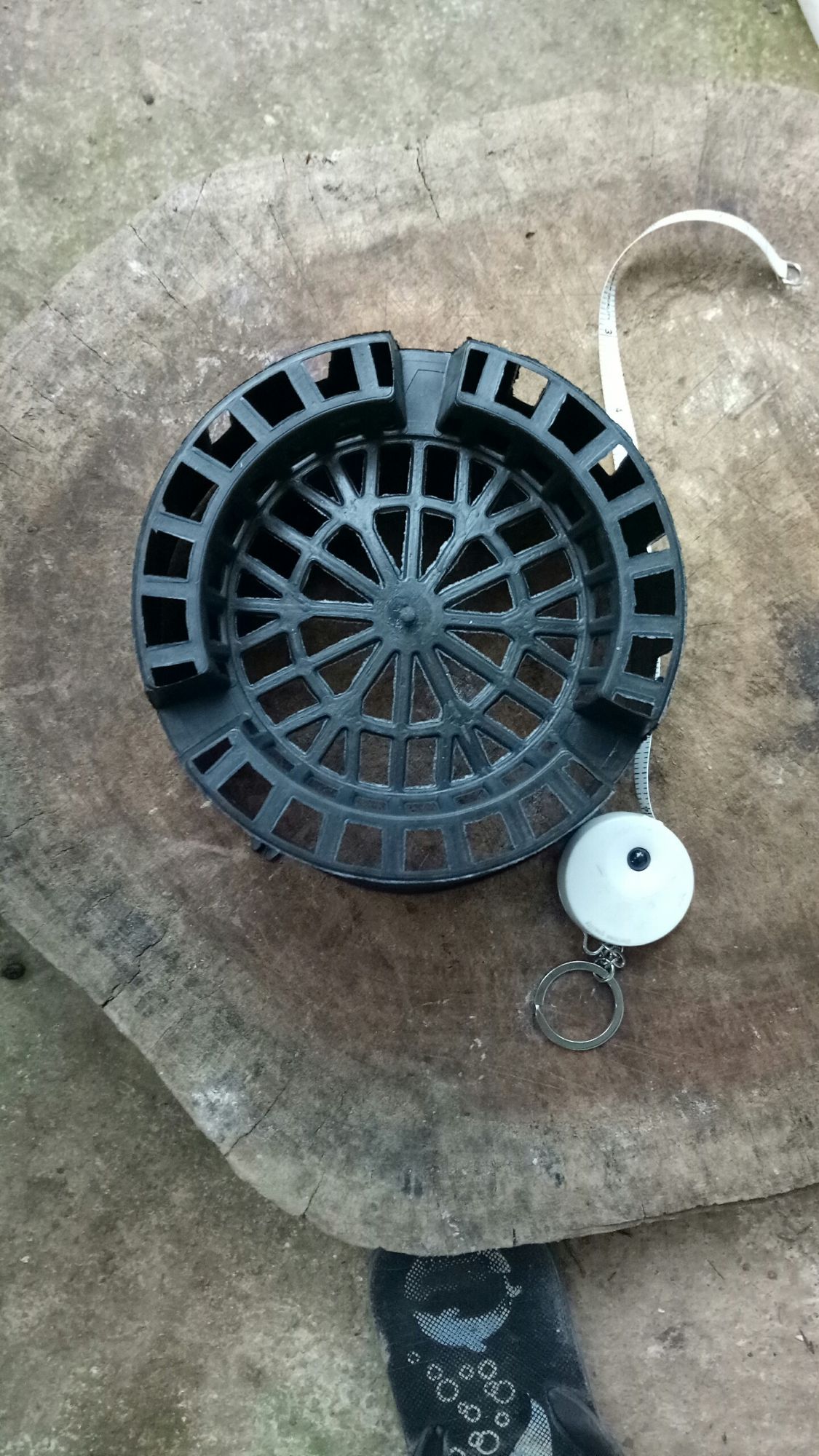 10 chậu nhựa size 10cm trồng lan