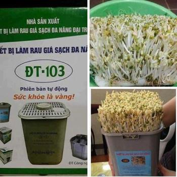 Máy làm giá đỗ sạch DDT103 cho mùa hè 2019
