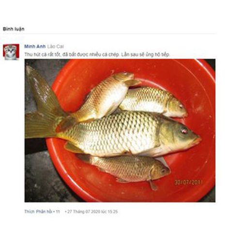 BÌNH XỊT DỤ CÁ CHÍNH HÃNG FISH BAIT USA