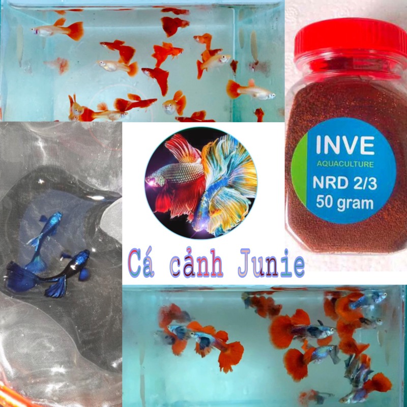 Combo 5 bộ trang trí Tự chọn (inbox báo sản phẩm chọn) + Tặng thùng xốp chống thấm 30x20x10