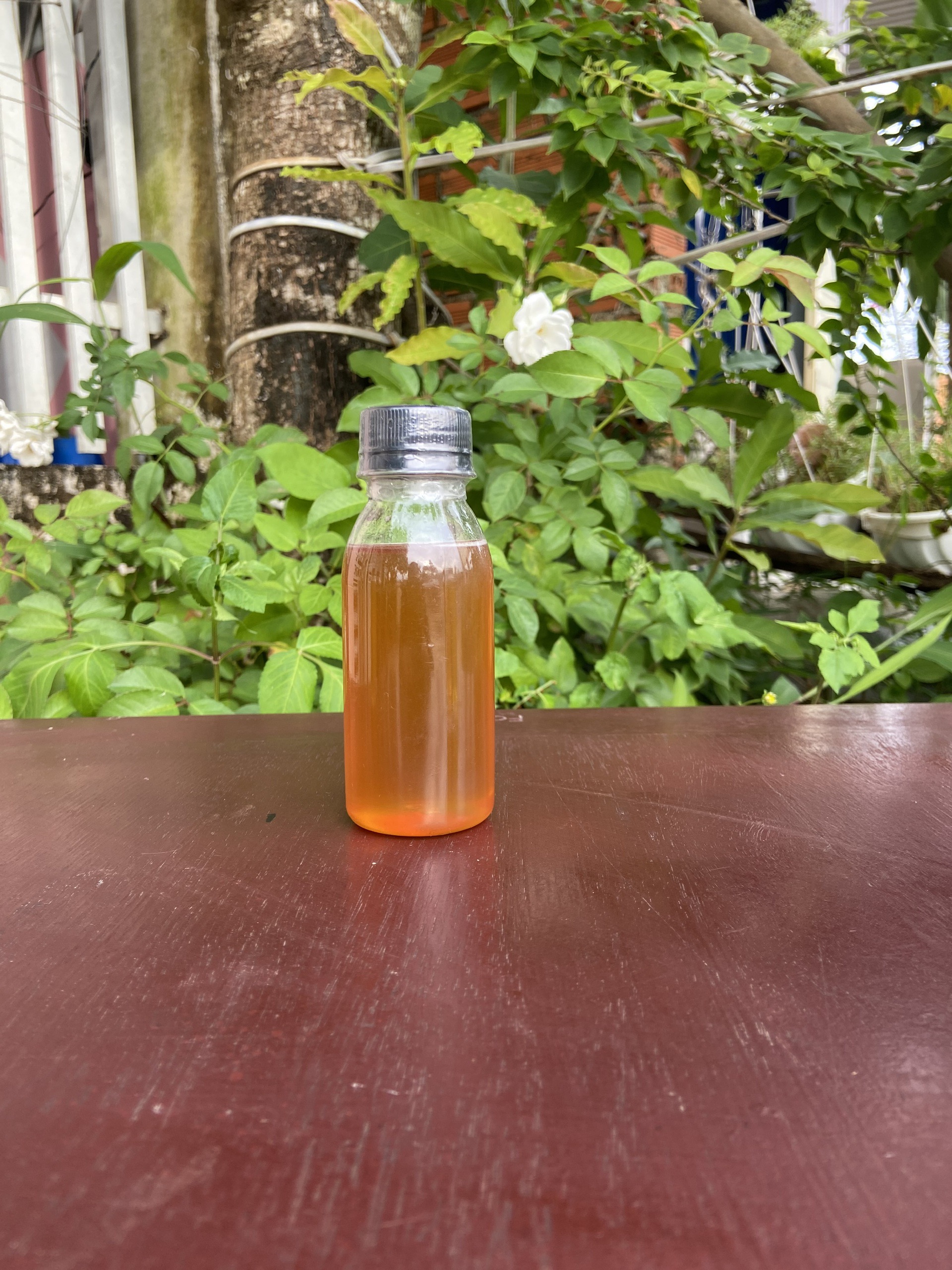 Mật Ong Mini Hoa Nhãn/ Chai 100ml