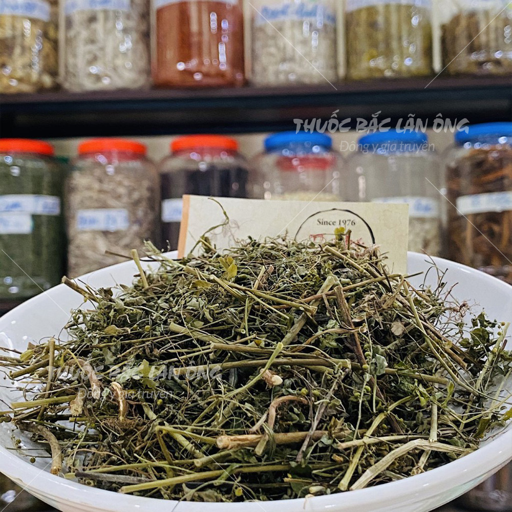 100g Chó Đẻ Đắng (Diệp Hạ Châu)