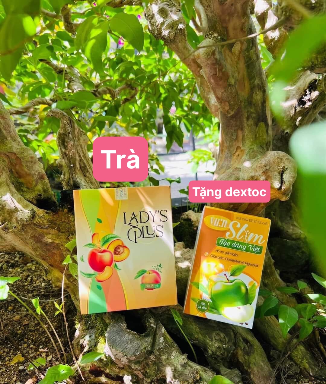 Trà giảm cân lady plus vị đào tặng thải đọc mỡ chính hãng