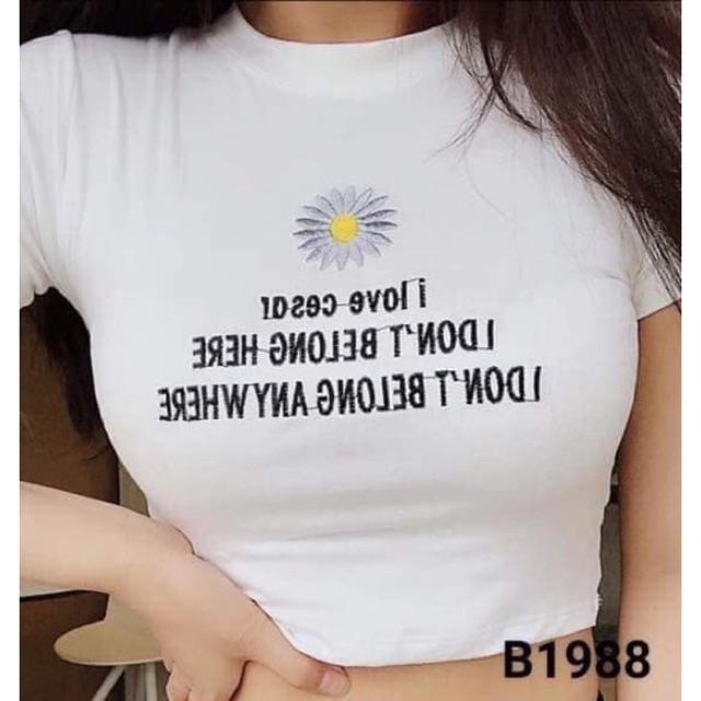 Áo croptop hoa cúc cánh trắng HSU0220