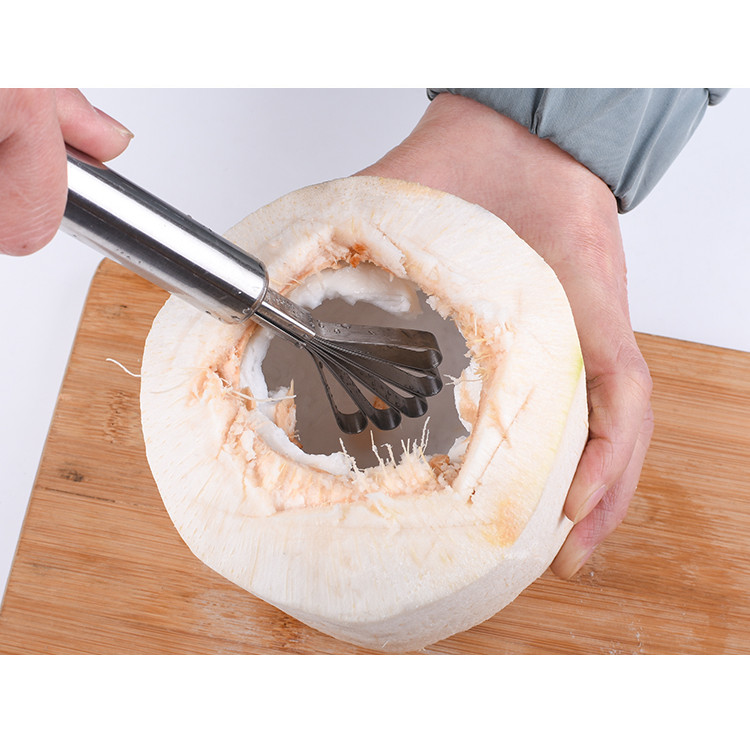 Nạo vây cá, cùi dừa bằng inox