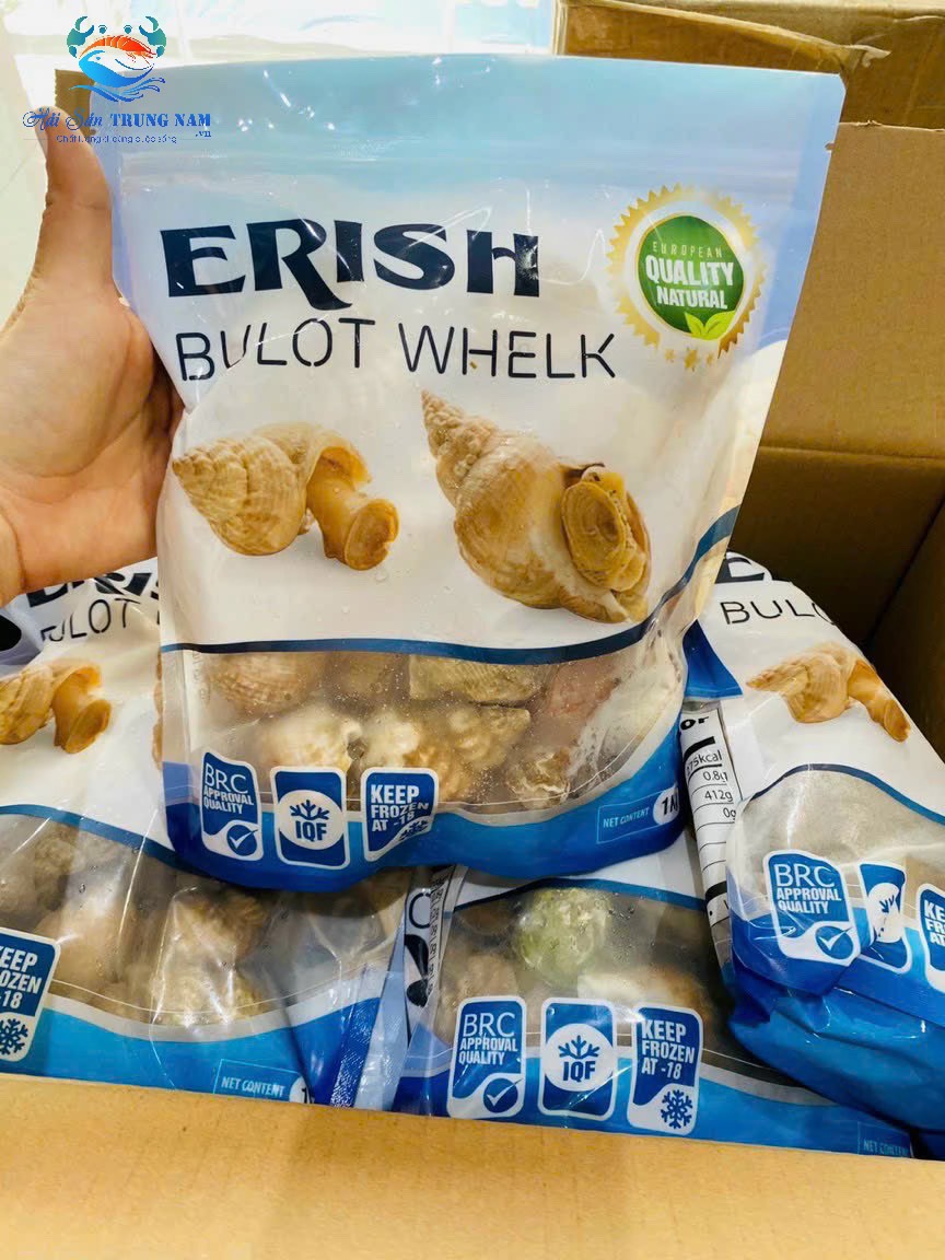 Ốc Bulot Pháp Nhập Khẩu Size 30-40 Con (Túi 1KG)