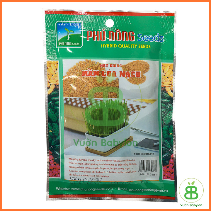 Hạt Giống Mầm Lúa Mạch( Cỏ Lúa Mì) 100GR Nảy Mầm Nhanh