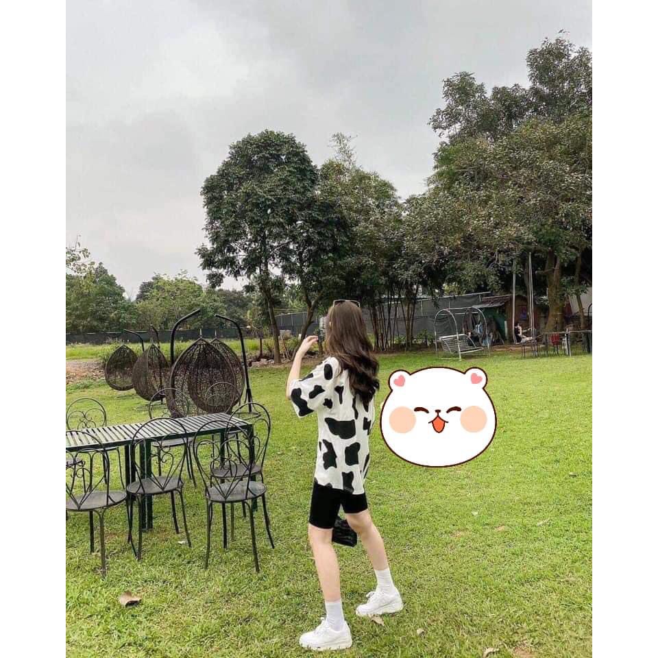 Sét áo phông bò sữa + quần legging ngố