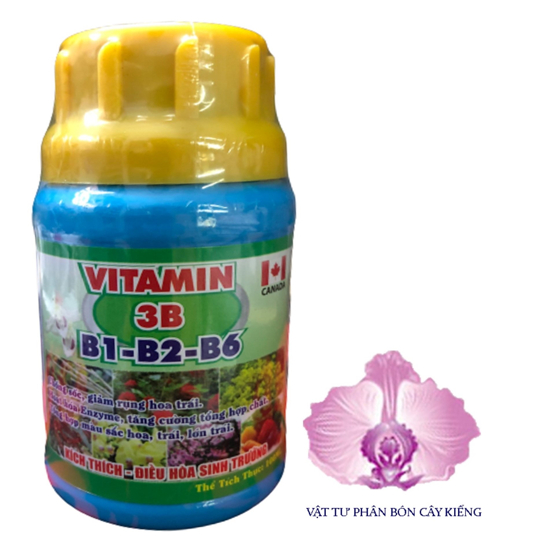 Phân bón vitamin 3b canada - #626a# 100ml