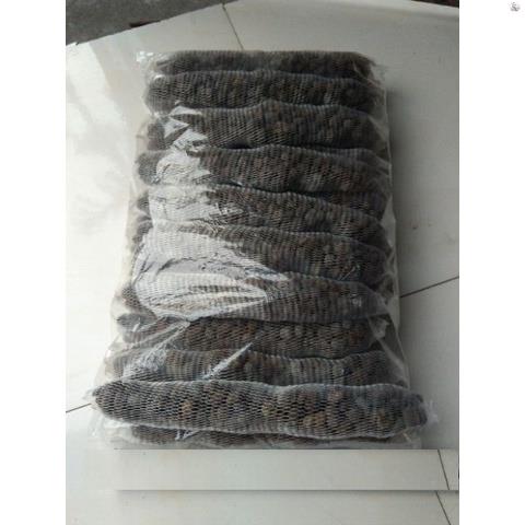 Phân dê túi lưới 14cm đã qua xử lý bón phong lan, hoa kiểng