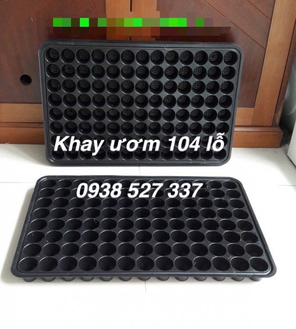 5 Khay ươm hạt vỉ ươm hạt 104 lỗ giá rẻ