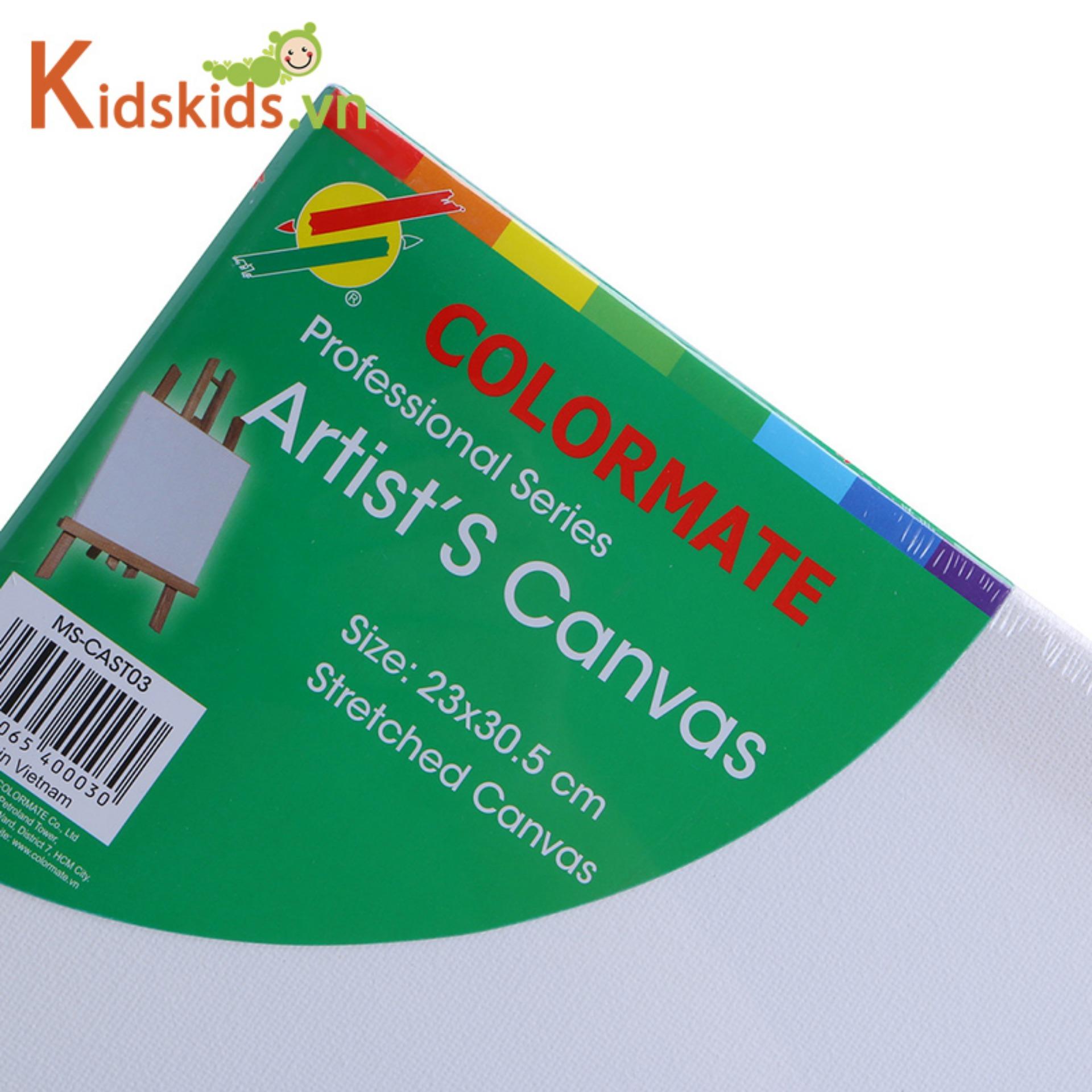 Khung tranh vải khổ A3 Colormate