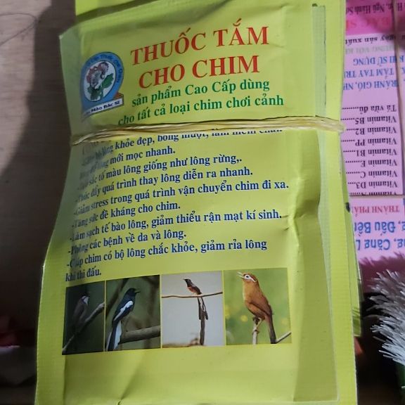 3 gói tắm cho chim