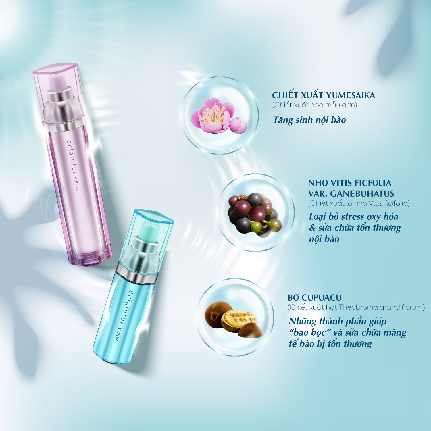 Tinh chất phục hồi sửa chữa tế bào da ALBION ECLAFUTUR t 30ml
