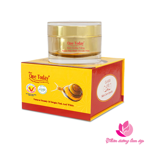 Kem dưỡng trắng Ngừa nếp nhăn và Lão hóa Đẳng Cấp Vip ONE TODAY 50g