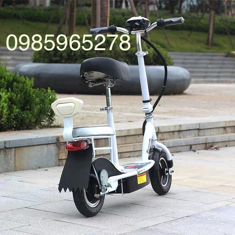 Xe đạp điện escooter hai chỗ ngồi