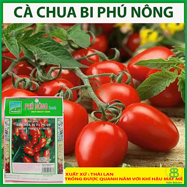 Hạt Giống Cà Chua Bi F1 Siêu Quả