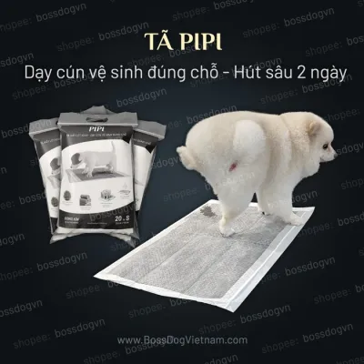 [HCM]Tã lót vệ sinh chó PIPI kích thích cún tè lần sau | BossDog - Pipi size S (20 tã)
