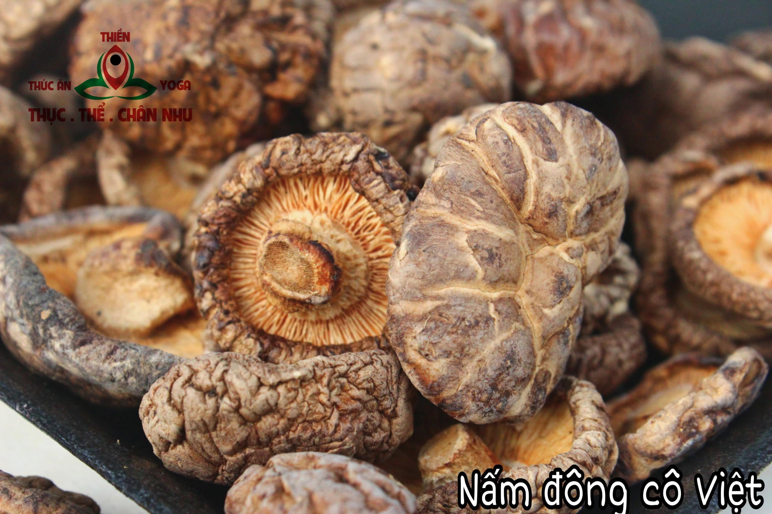 Nấm Đông Cô Việt Nam (100gr)