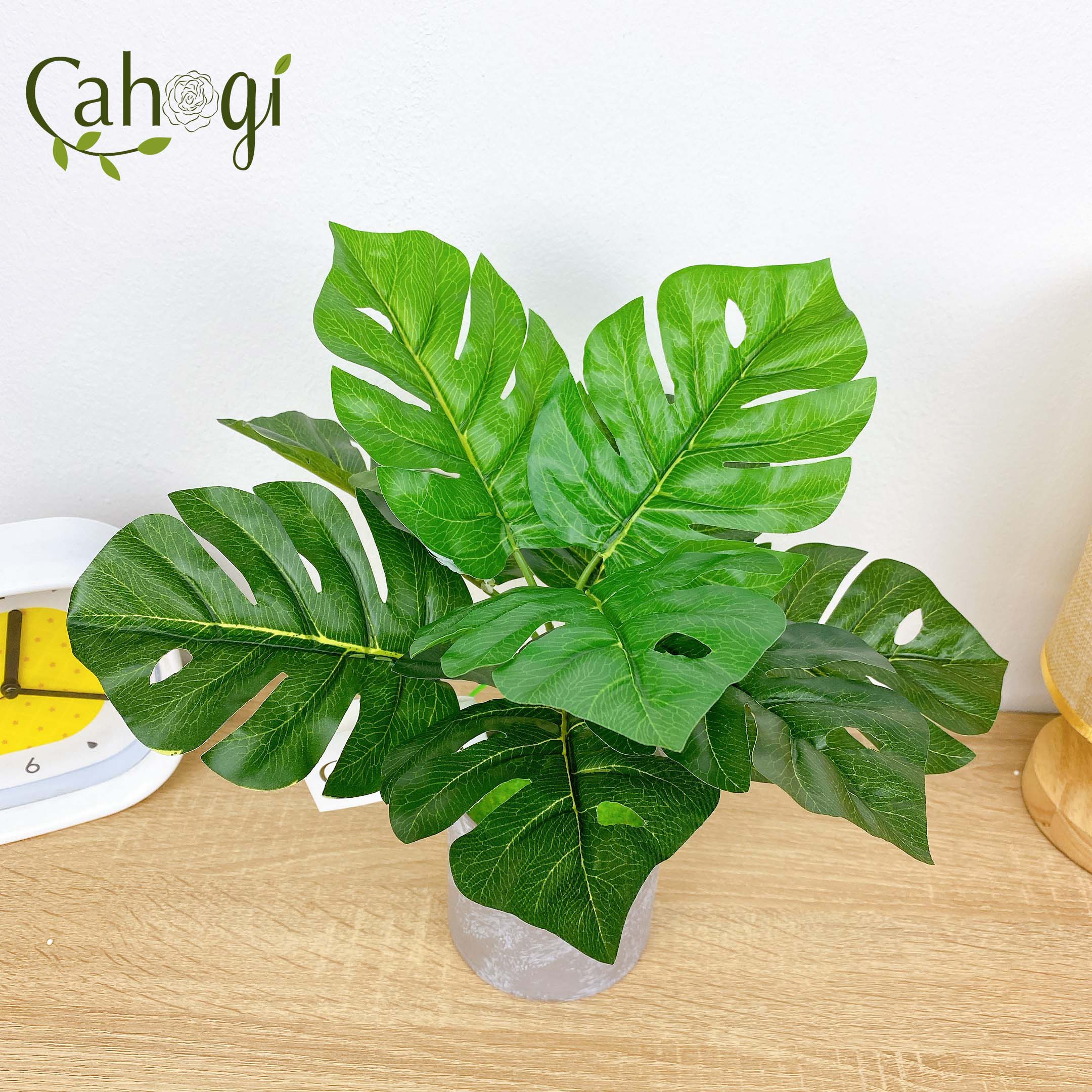 Cây Giả Cây Lá Rùa 30cm