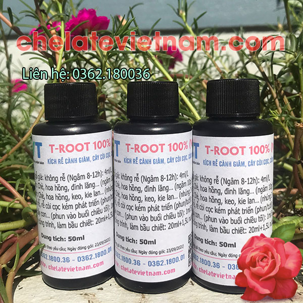 T - ROOT 100% (V.02) - Dung dịch siêu kích thích ra rễ (chai 50ml)