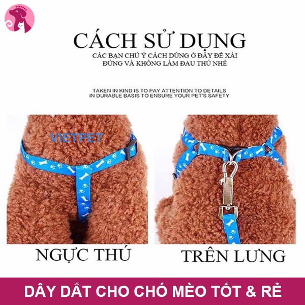 Dây Dắt Đai Ngựa Cho Chó, Mèo