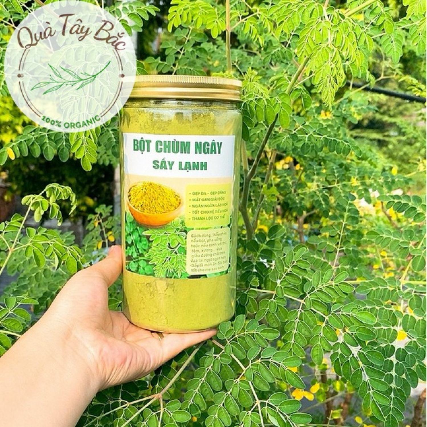 Bột lá chùm ngây nguyên chất sấy lạnh
