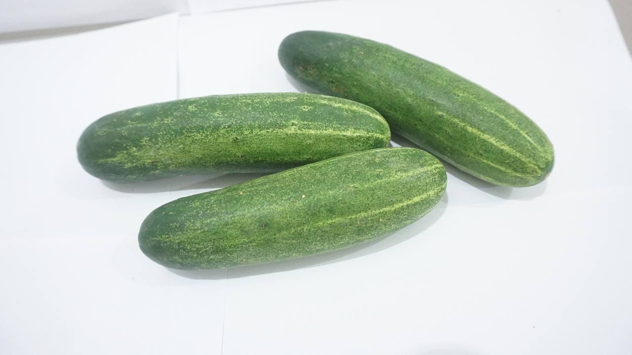 Dưa Leo FAFA 500gr/túi