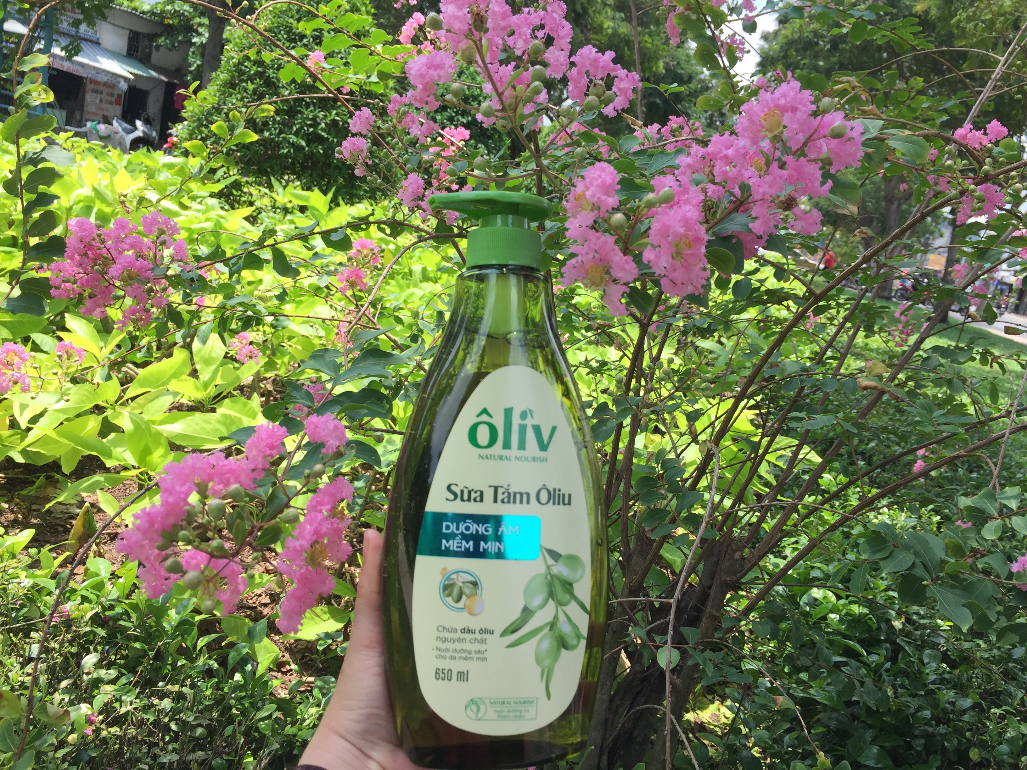 Combo dầu gội + sữa tắm tinh chất OLIVE 650 ml