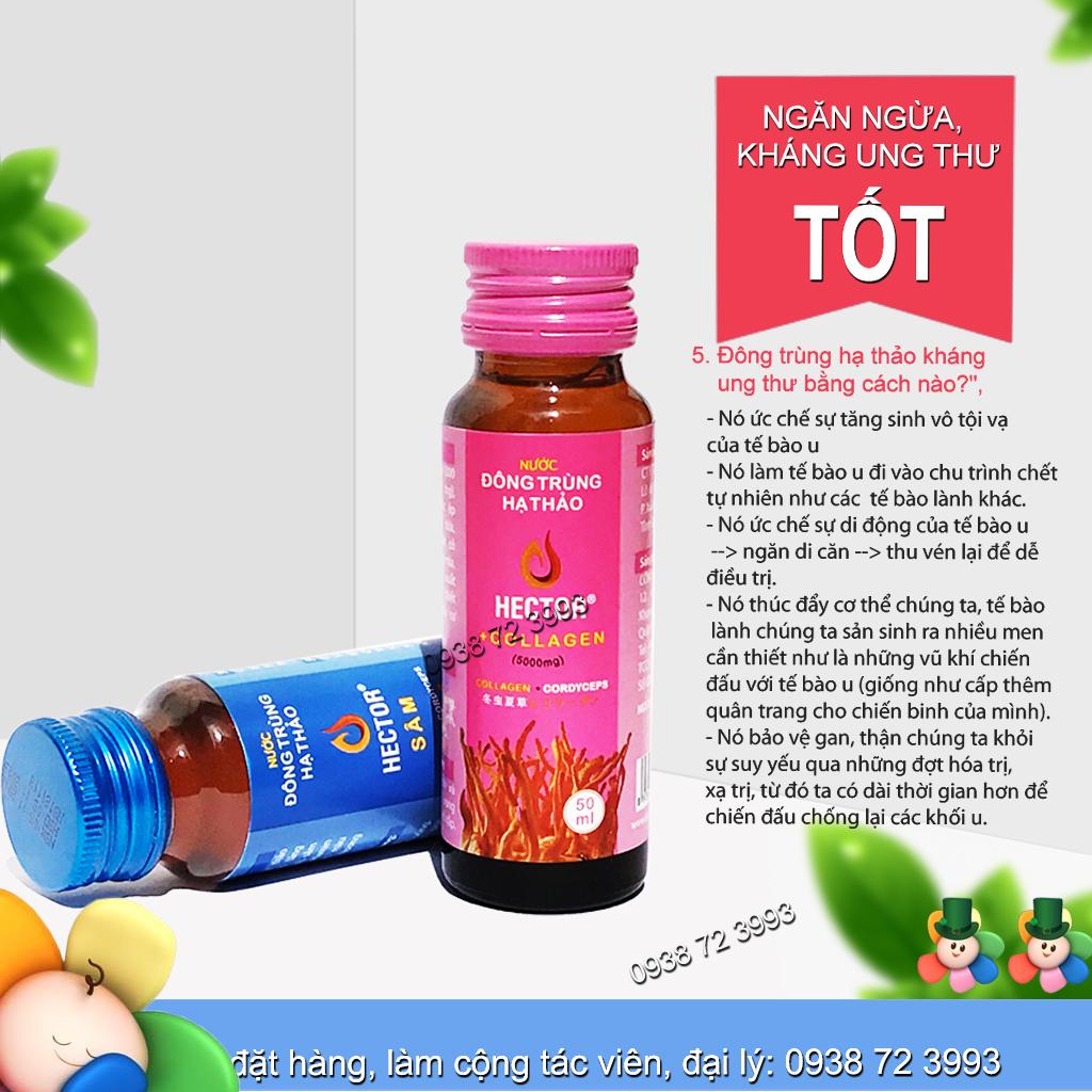 Đông trùng hạ thảo Hector Sâm (Hộp 10 Chai)