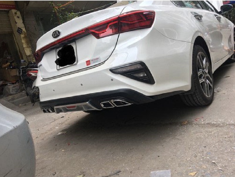Lippo cerato 2019 2020