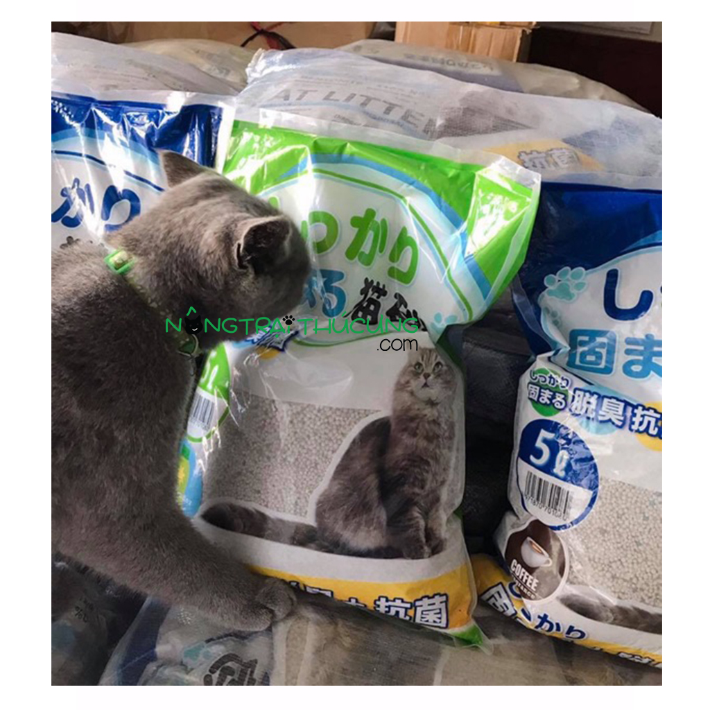 Cát vệ sinh cho mèo - Cát Nhật - Cát Litter - [Nông Trại Thú Cưng]
